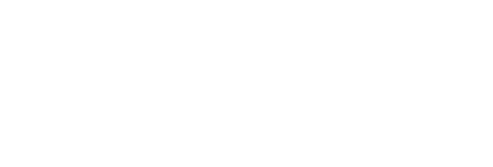 Allyn J Raphael, LLC Logo